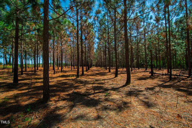 $2,500,000 | 2451 Brick Mill Road, Erwin, NC 28339