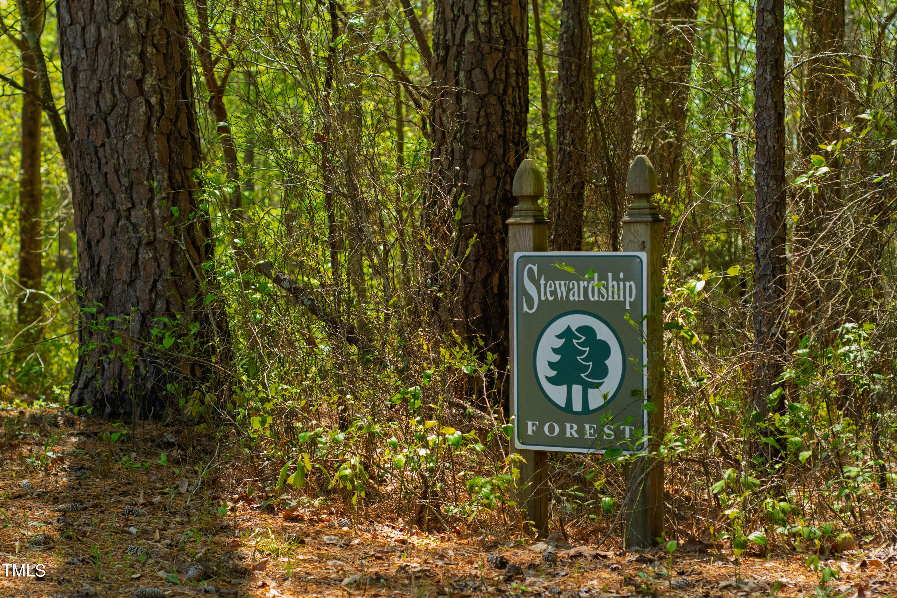 2451 Brick Mill Road Erwin, NC 28339 - Photo 85 of 101 a sign board with a tree in the background