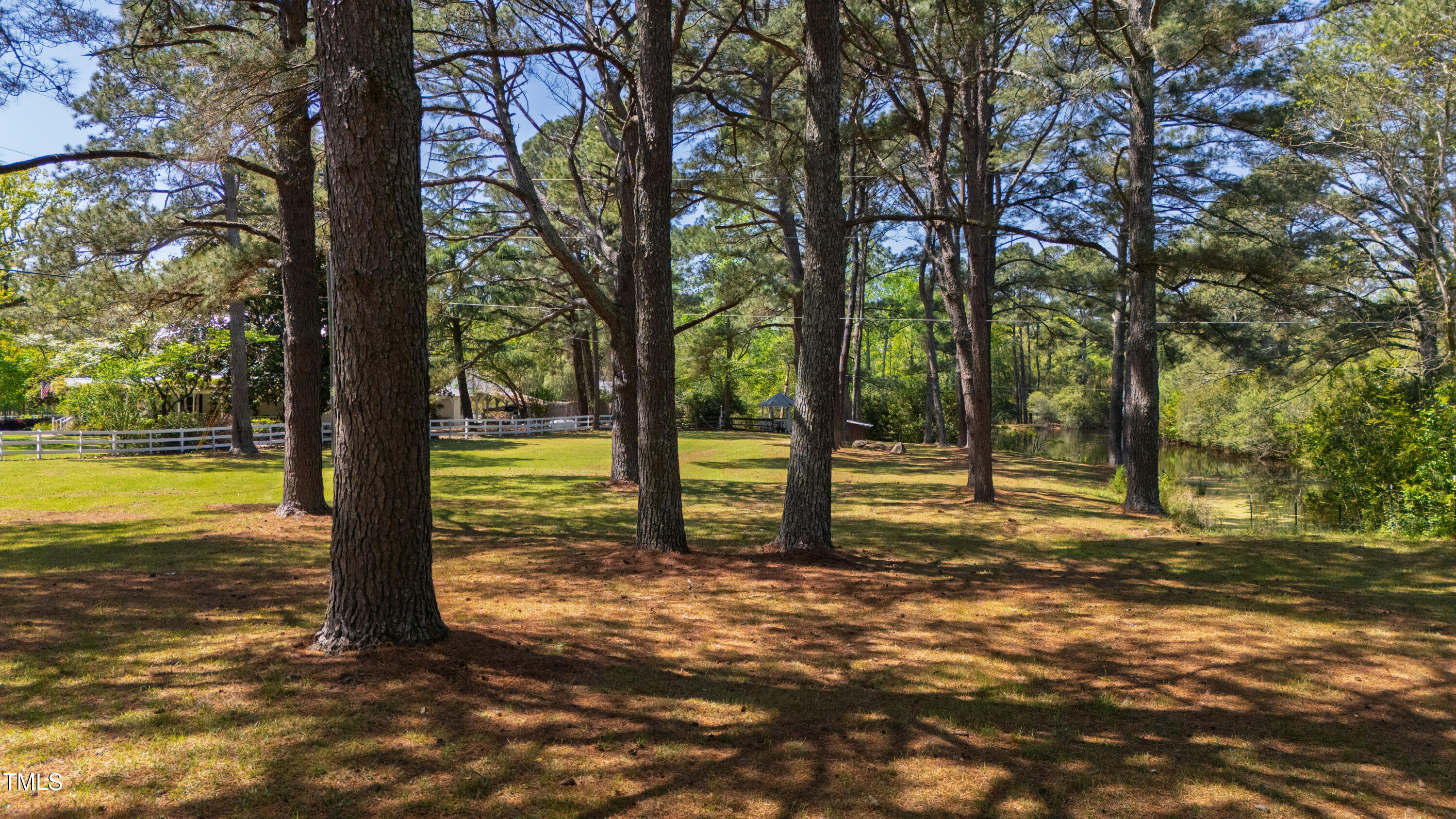 2451 Brick Mill Road Erwin, NC 28339 - Photo 87 of 101 a view of a yard with a tree