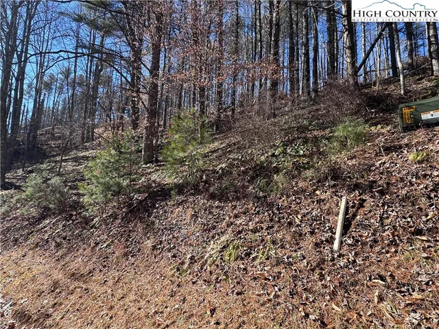 $16,000 | Lot 16 Woodlands Drive, Piney Creek, NC 28663
