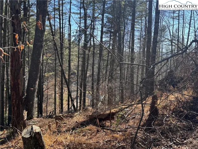 $16,000 | Lot 16 Woodlands Drive, Piney Creek, NC 28663