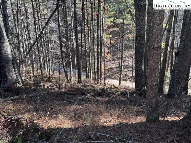 $16,000 | Lot 16 Woodlands Drive, Piney Creek, NC 28663