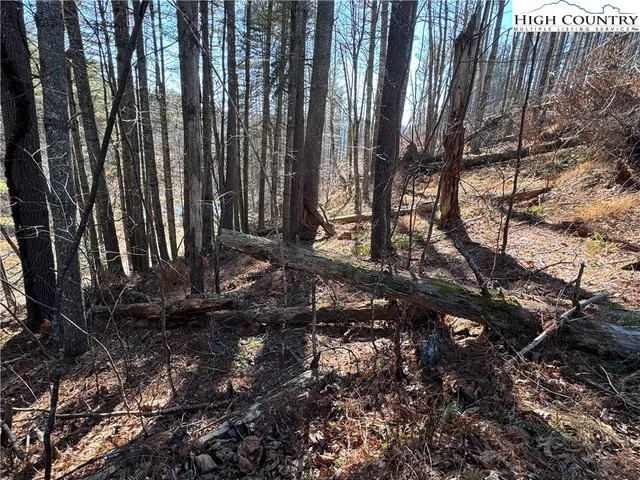 $16,000 | Lot 16 Woodlands Drive, Piney Creek, NC 28663