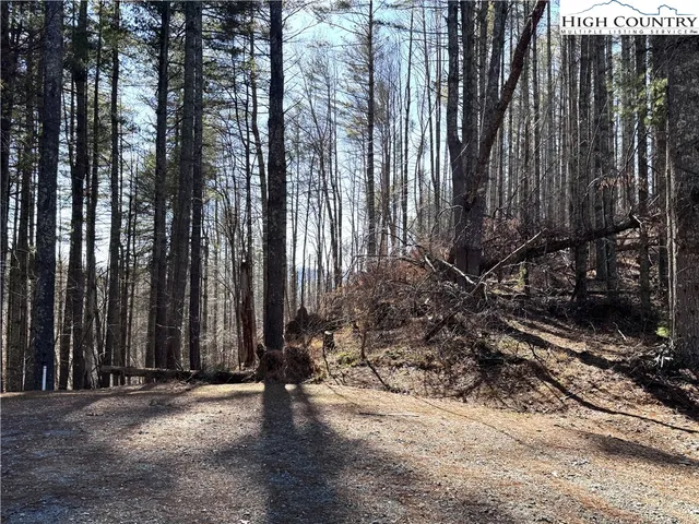 $16,000 | Lot 16 Woodlands Drive, Piney Creek, NC 28663