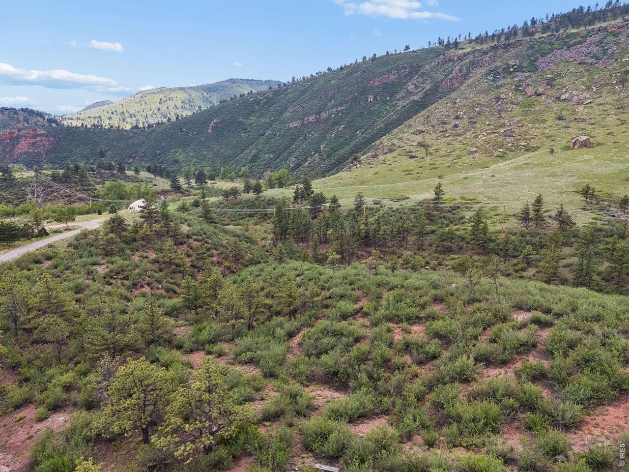 1115 Vision Way Lyons, CO 80540 - Photo 12 of 32 The land