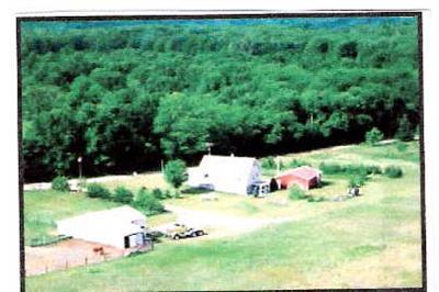 Primary Photo