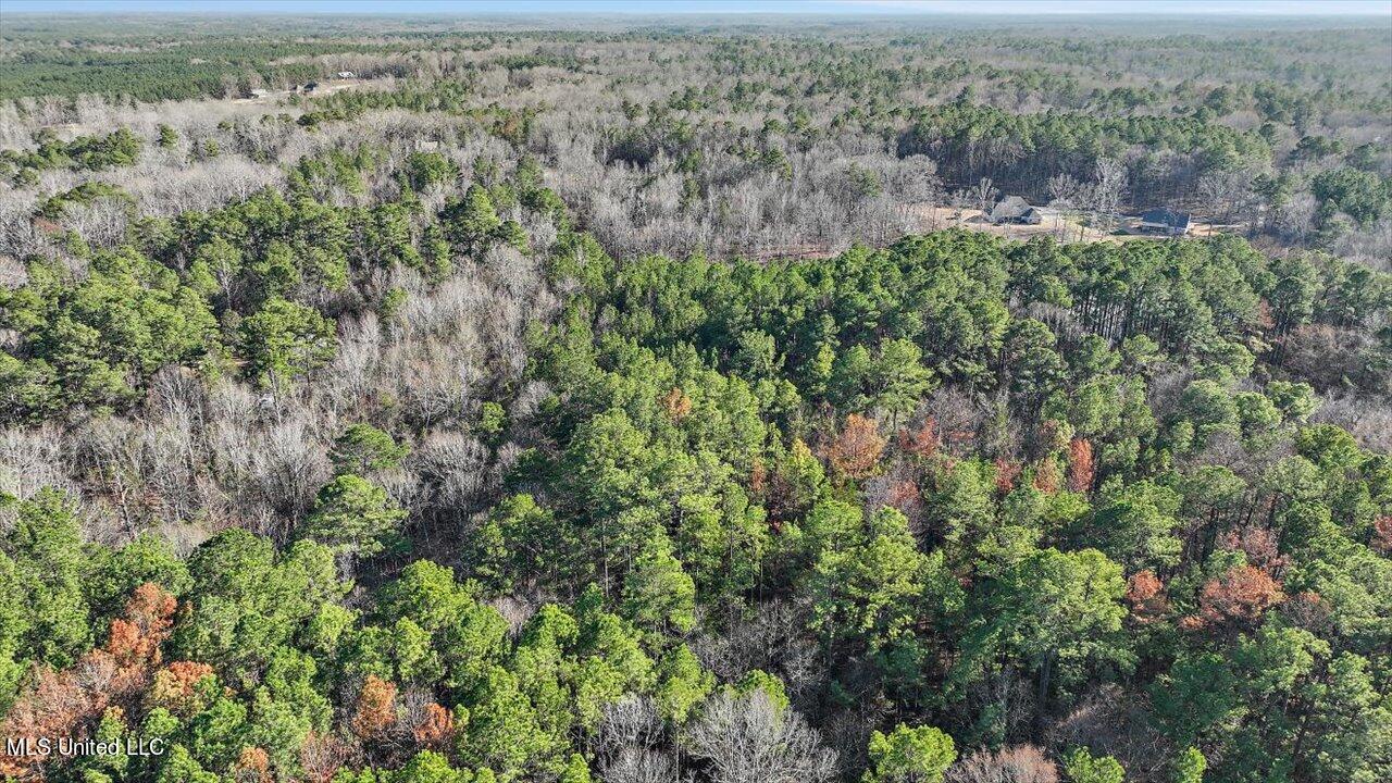 1074 Ridgeside Drive Brandon, MS 39042 - Photo 2 of 30 16-1074 Ridgeside Dr