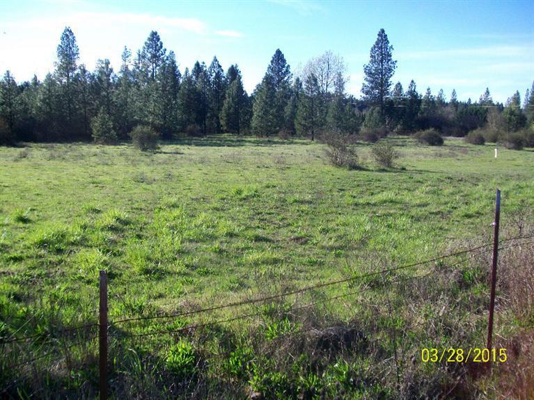 5015 Waldo Road Cave Junction, OR 97523 - Photo 34 of 35 a view of field with trees in the background