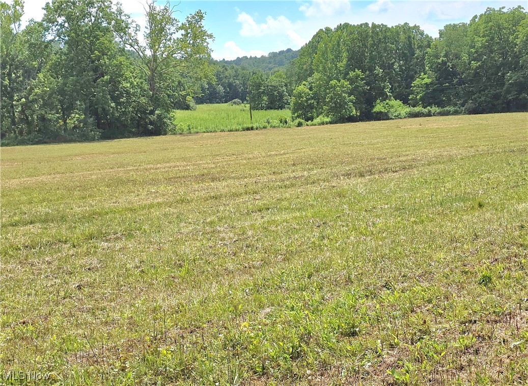13 Rd Stockport Oh 43787 Road Stockport, OH 43787 - Photo 3 of 15 View of grassy yard featuring a rural view and a wooded view