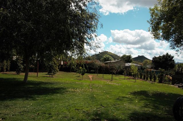 a view of a park with large trees