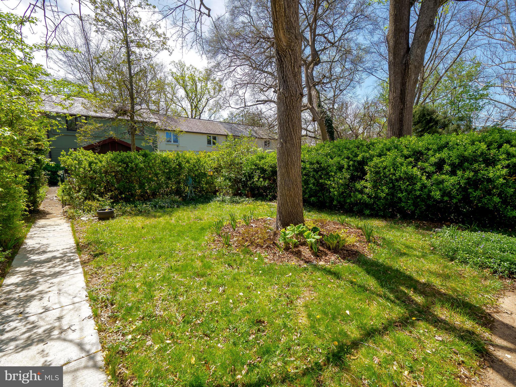 37 Ridge Road, Unit B Greenbelt, MD 20770 - Photo 32 of 35 Gallery Image 32