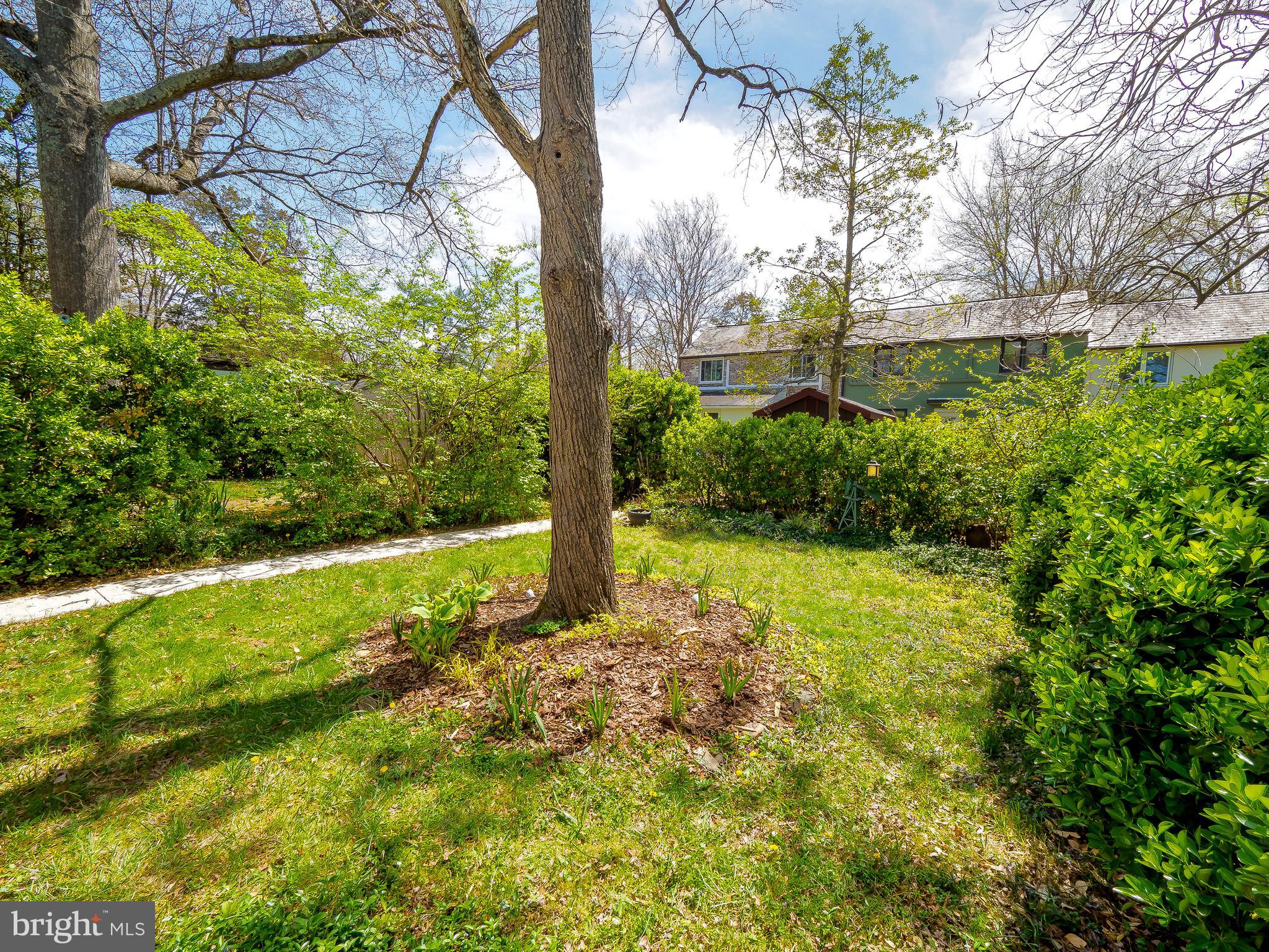 37 Ridge Road, Unit B Greenbelt, MD 20770 - Photo 35 of 35 Gallery Image 35
