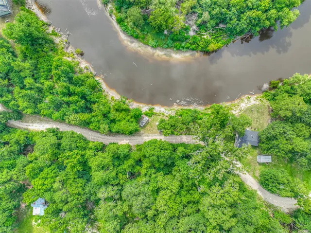 a view of a garden with a bench