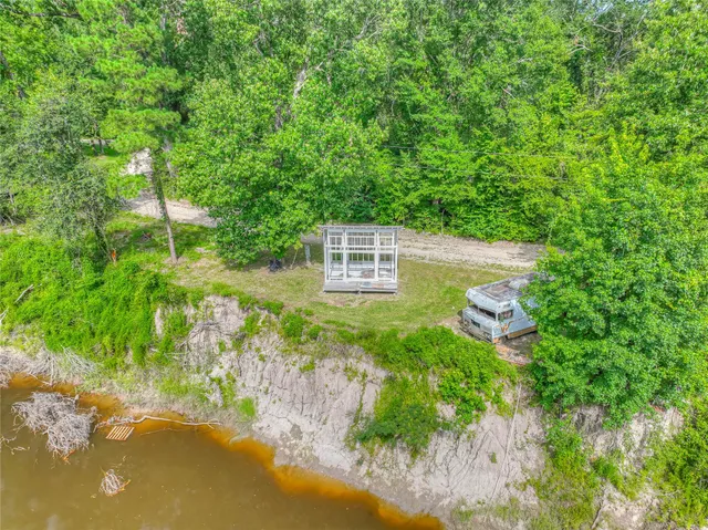 a view of a garden with a tree