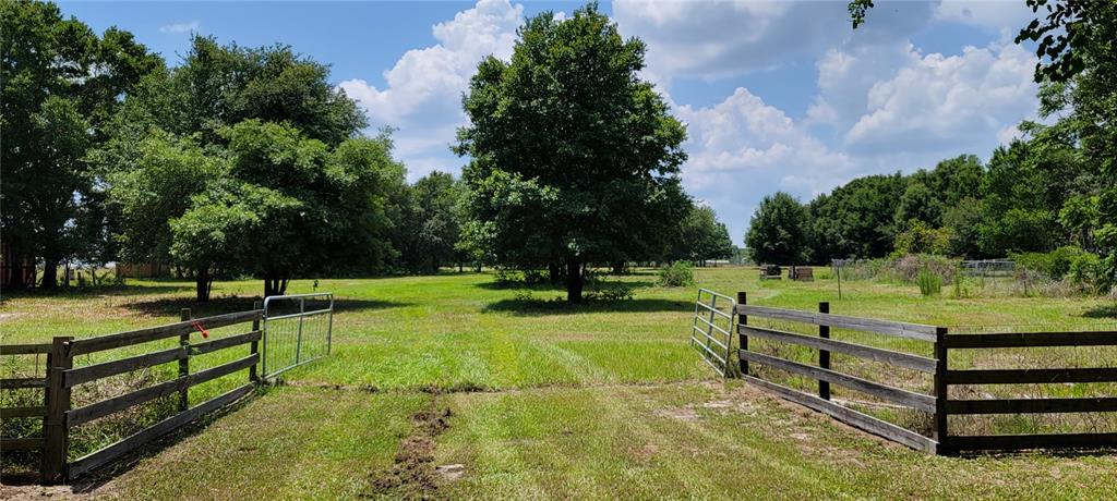0 Lewis Gallagher Road Dover, FL 33527 - Photo 1 of 1
