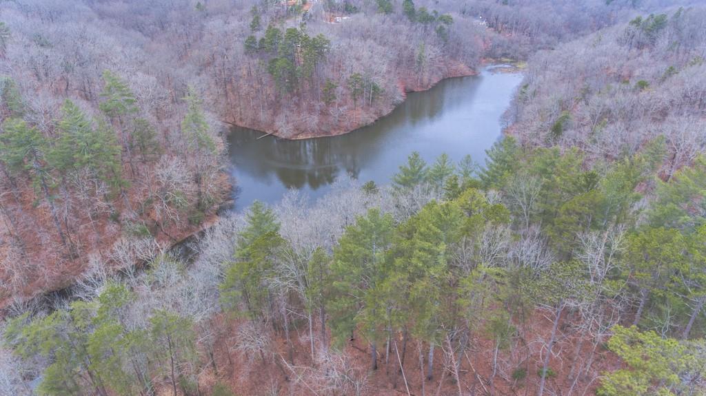 363 Maple Ridge Lake Court Dawsonville, GA 30534 - Photo 13 of 33 a view of a fireplace in a forest