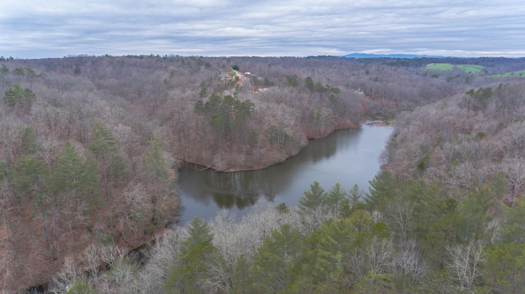 363 Maple Ridge Lake Court Dawsonville, GA 30534 - Photo 14 of 33 a view of a dry yard with large trees