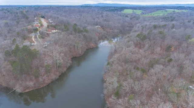 a view of a fireplace in a forest