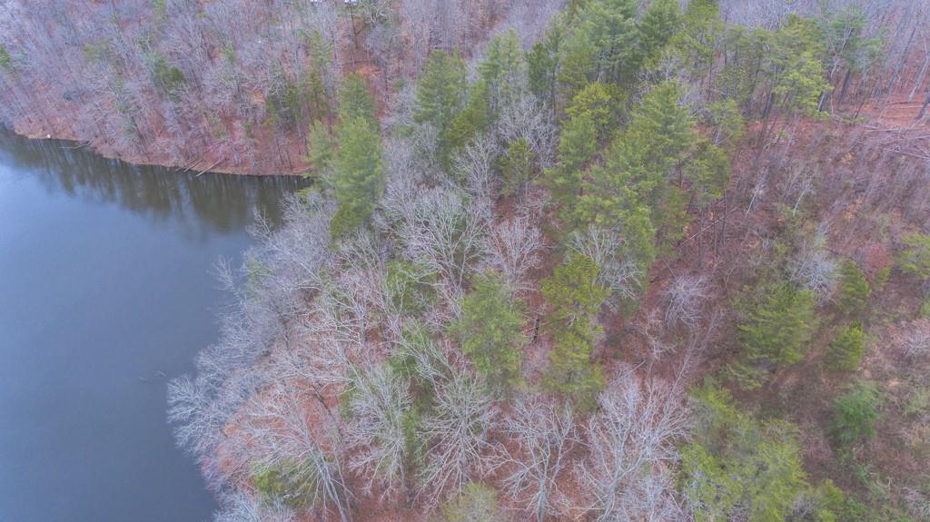 363 Maple Ridge Lake Court Dawsonville, GA 30534 - Photo 16 of 33 a backyard of a house with lots of green space and trees