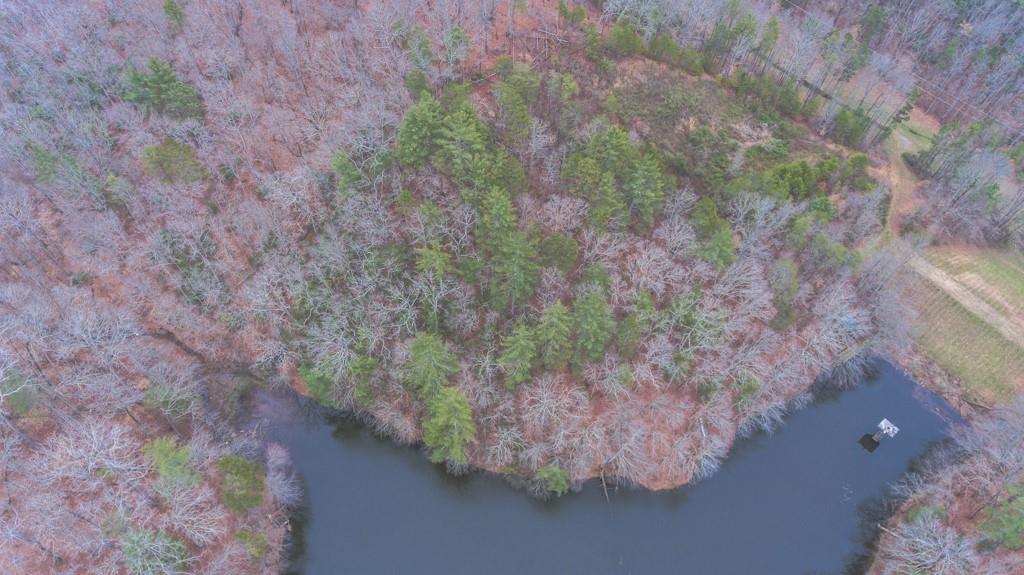 363 Maple Ridge Lake Court Dawsonville, GA 30534 - Photo 17 of 33 a picture of tree