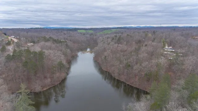 a backyard of a house with lots of green space and trees