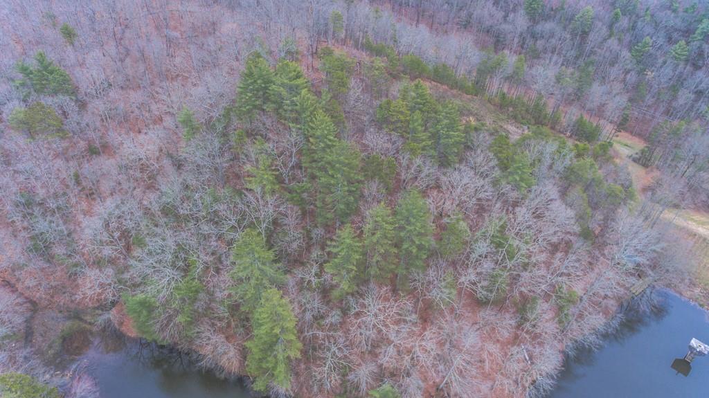 363 Maple Ridge Lake Court Dawsonville, GA 30534 - Photo 19 of 33 a view of a forest with trees