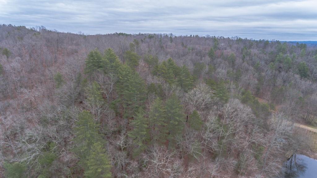 363 Maple Ridge Lake Court Dawsonville, GA 30534 - Photo 21 of 33