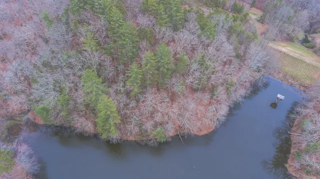 a view of a forest with trees