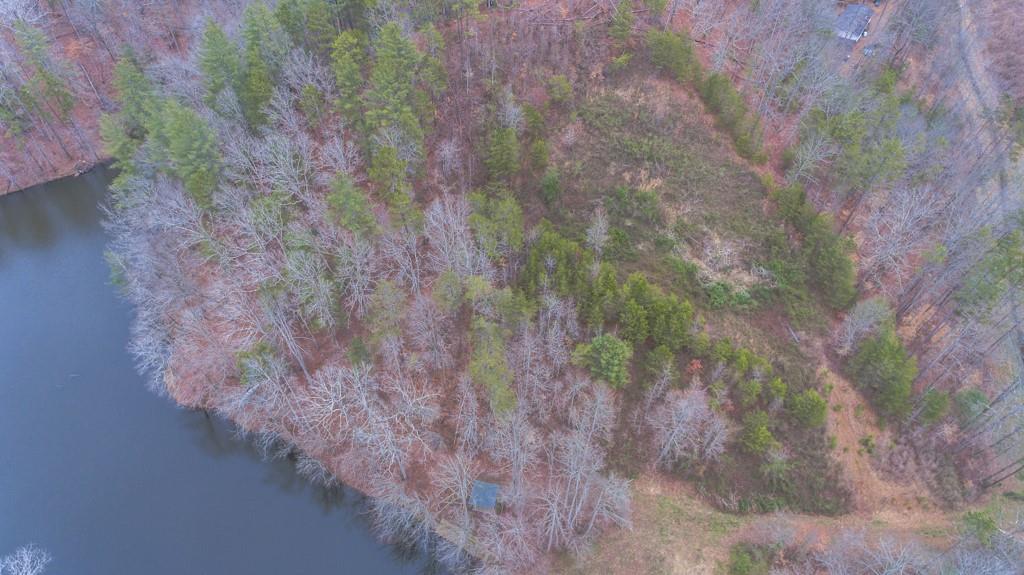 363 Maple Ridge Lake Court Dawsonville, GA 30534 - Photo 23 of 33 a view of a forest with trees
