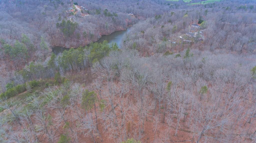 363 Maple Ridge Lake Court Dawsonville, GA 30534 - Photo 25 of 33 a view of a dry yard