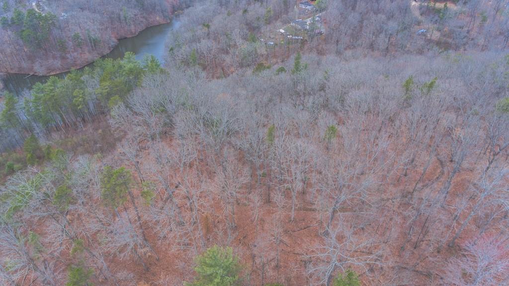 363 Maple Ridge Lake Court Dawsonville, GA 30534 - Photo 26 of 33