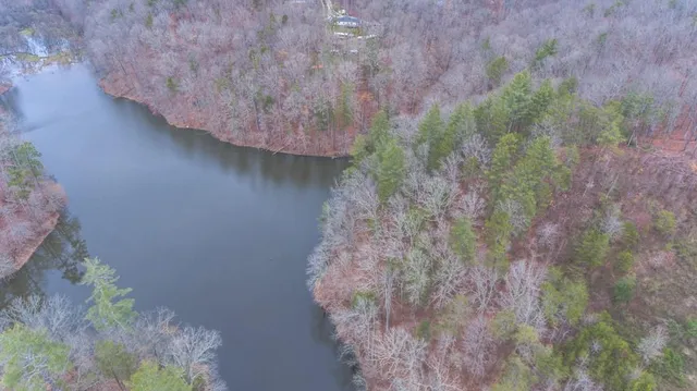 a view of a dry yard