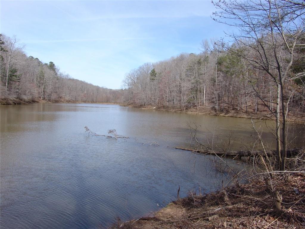 363 Maple Ridge Lake Court Dawsonville, GA 30534 - Photo 29 of 33 a view of a lake with a mountain in the background