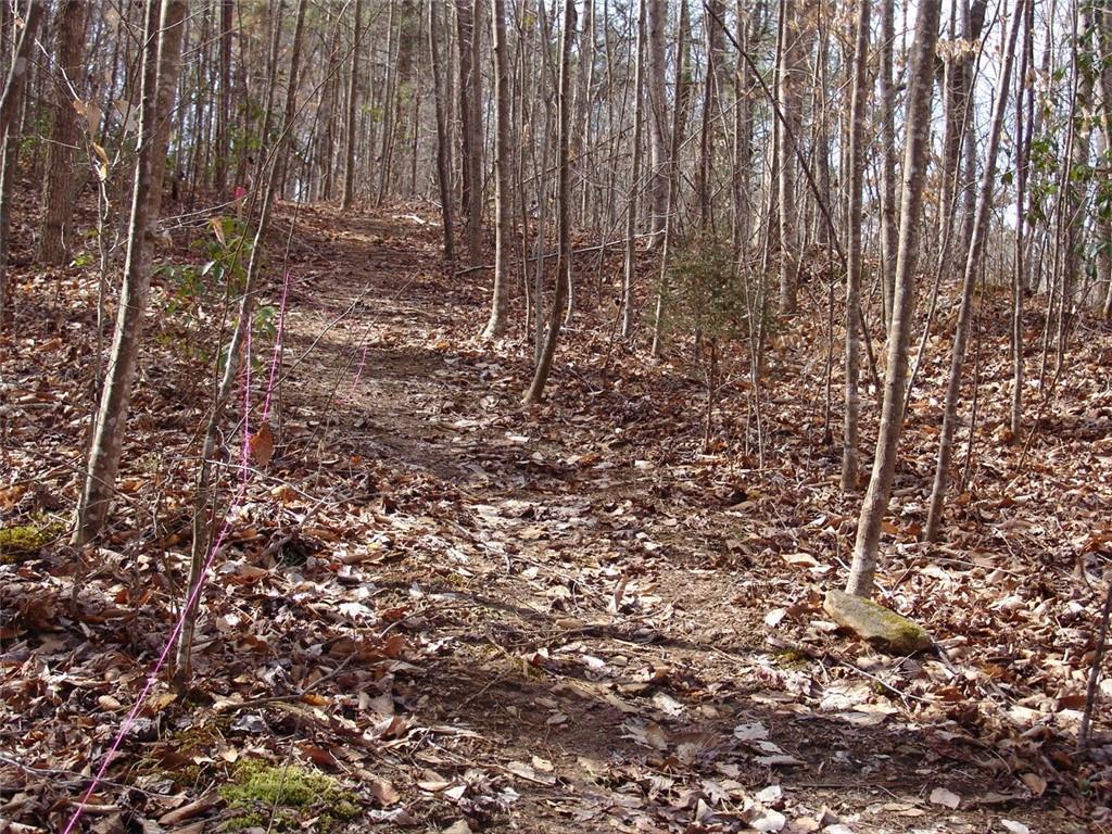363 Maple Ridge Lake Court Dawsonville, GA 30534 - Photo 30 of 33 a view of wooden fence