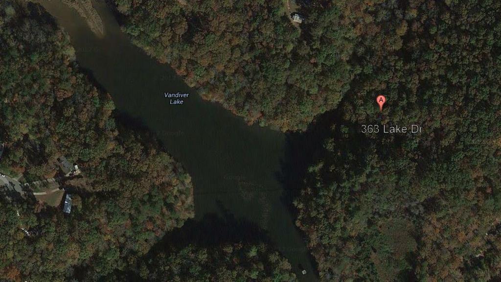 363 Maple Ridge Lake Court Dawsonville, GA 30534 - Photo 3 of 33 a view of a house in a yard