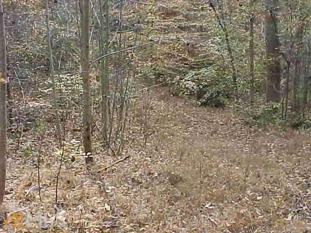 363 Maple Ridge Lake Court Dawsonville, GA 30534 - Photo 31 of 33 a bathroom with a shower