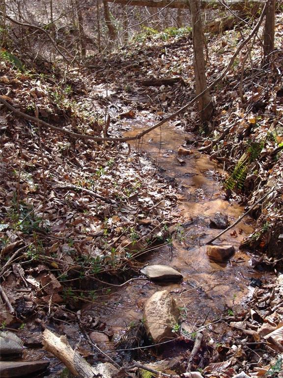 363 Maple Ridge Lake Court Dawsonville, GA 30534 - Photo 32 of 33 a view of lot of trees