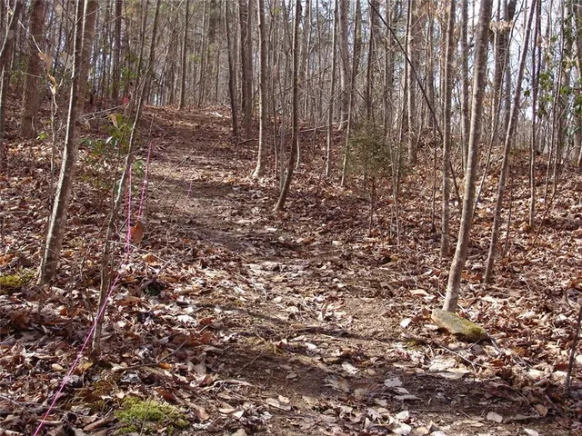 $250,000 | 363 Maple Ridge Lake Court, Dawsonville, GA 30534