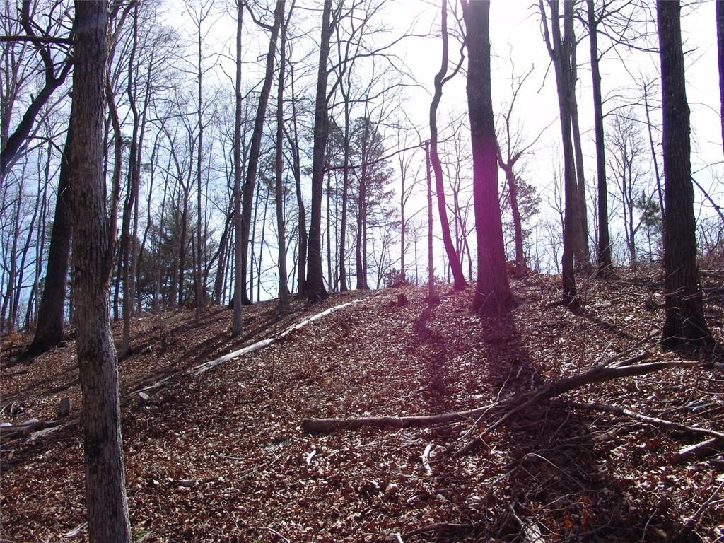 363 Maple Ridge Lake Court Dawsonville, GA 30534 - Photo 33 of 33