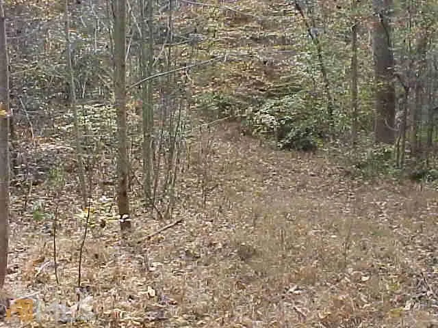 $250,000 | 363 Maple Ridge Lake Court, Dawsonville, GA 30534