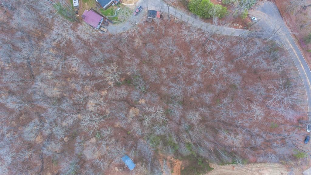 363 Maple Ridge Lake Court Dawsonville, GA 30534 - Photo 6 of 33 a view of a dry yard with wooden floor