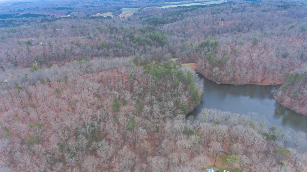 363 Maple Ridge Lake Court Dawsonville, GA 30534 - Photo 7 of 33 a view of a dry yard