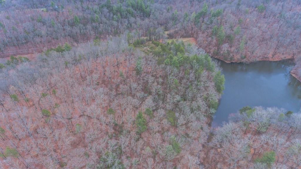 363 Maple Ridge Lake Court Dawsonville, GA 30534 - Photo 8 of 33 a view of a dry yard