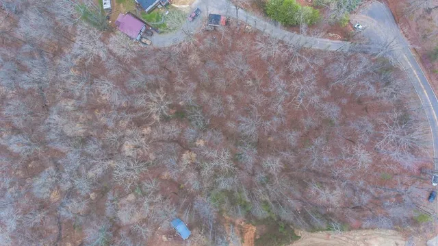 a view of a dry yard with wooden floor