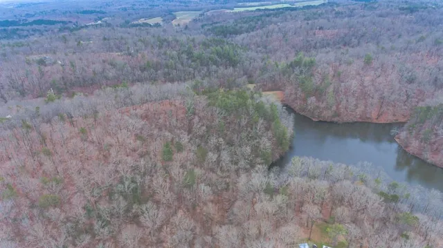 a view of a dry yard