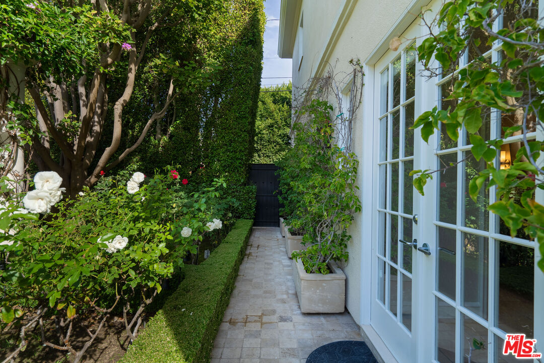 722 North Elm Drive Beverly Hills, CA 90210 - Photo 38 of 51 a view of backyard with potted plants and large tree