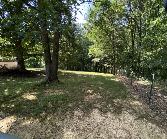 a view of a lush green forest with trees