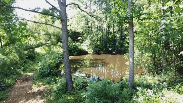 a view of lake with green space