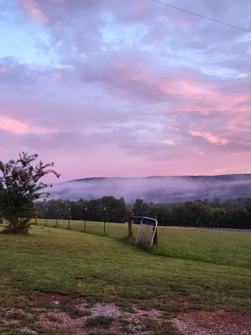 a view of a big yard with a lake