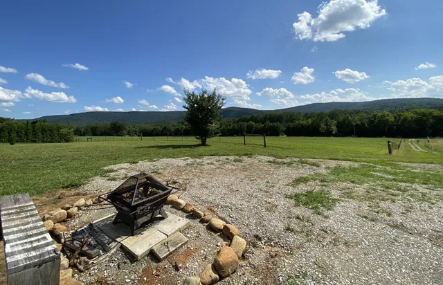 a view of a park with large trees